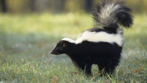 media_xll_5263210 (1).jpg